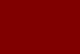Mallorca Flamenco y tradici�n